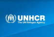 УНХЦР: Рекордни 120 милиони луѓе се присилно раселени поради новите конфликти