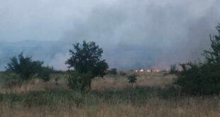 Општина Прилеп: Локализиран е пожарот кај местото викано „Задград“
